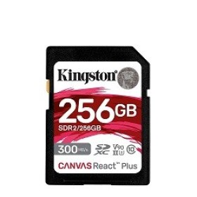 Flash-256GB-SDXC-Card-Kingston-Canvas-React-Plus-SDR22-chisinau-itunexx.md