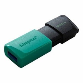 Flash-256GB-USB3.2-Kingston-Dataer-Exodia-M-DTXM-chisinau-itunexx.md